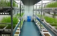 RSZ-10种子发芽室